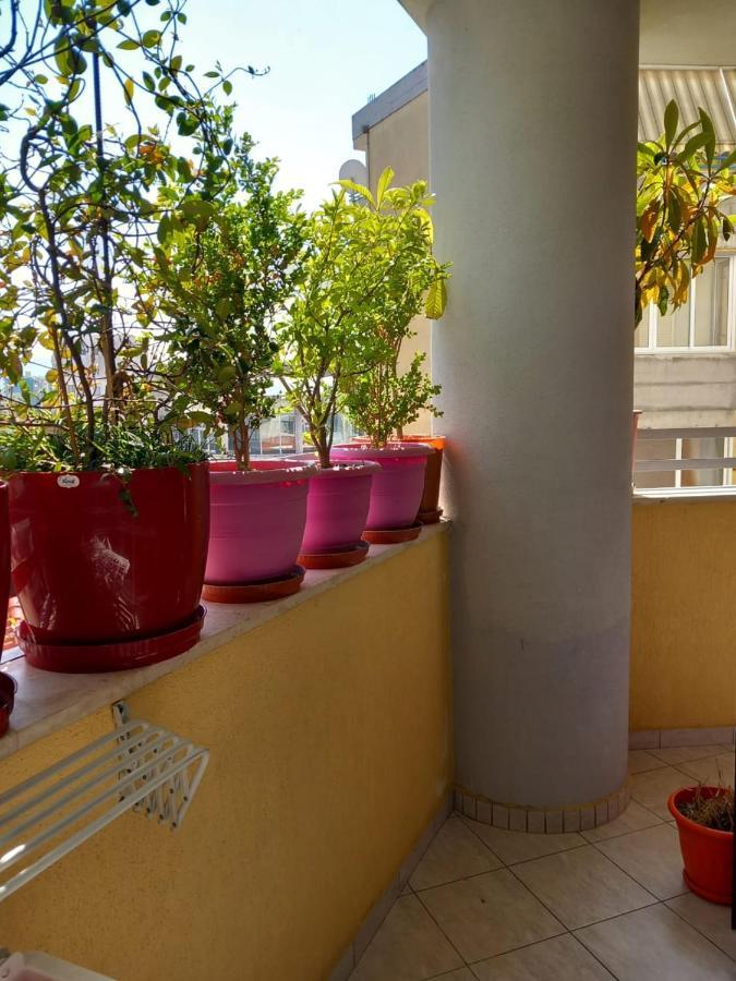 Holiday Center Apartment Shkoder Ngoại thất bức ảnh